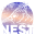 NEST Collective