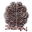 Church Of The Reborn