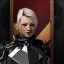inv portrait