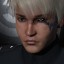 inv portrait