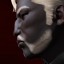 inv portrait