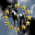 Flying Donkeys University
