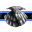Polar Critter Interactive