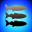 Shark Inc.