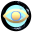 Strategic Naval Research Institute
