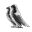 Eve Unlimited