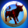 Camelot Innovations