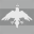 Exodus Space Corp