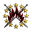 Association of Freelance Agentrunner