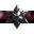 Dark Shadows Group
