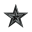 Dark Star Collaboration