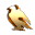 Kivuweb