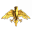 Severed Empire