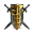 The Emperium 001
