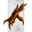 First Talon