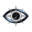 The Gorgon Eye