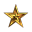 NEW GOLD STAR