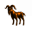 Golden Sheeps