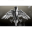 Raven Guards
