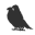 Adumbratus