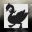 Black Swan Capital