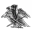 501st