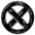 Black Hole Theory