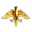 The Krynasty