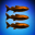 Team Turtl3w4x