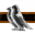 The Saboclaw Group