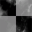 White Hole Inc.