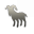 wirecard
