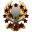 Xray Ynited Incorpotarion