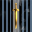 Caldari State Explorationary and Expeditionary Cor