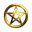The Veiled Order