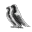 DekaniTribus