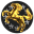 Starkin Expeditions