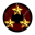 Shadow Operations Directorate